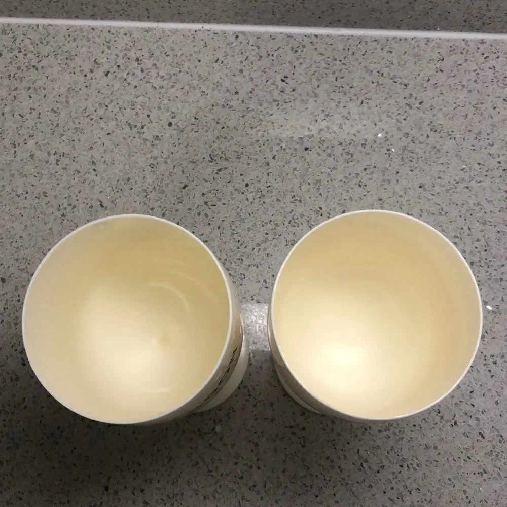 Moet Acrylic Flutes Glasses‎